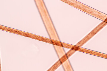 Characteristics of Hair cell of human under microscope view for education in laboratory.
