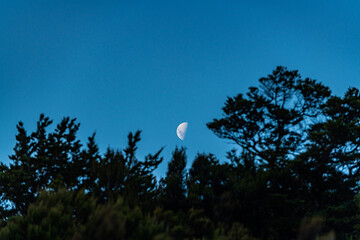 Mountain scenery in New Zealand