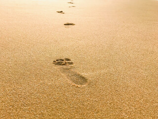 Traces at sunset on the seashore. Rest, joy, peace and tranquility.