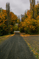 Obraz premium Shingle road in the mountains