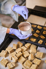 Close up of female hands in garden gloves holding plant seeds over table with plastic modular tray and soil sponge plugs. Woman gardener planting seeds in greenhouse.