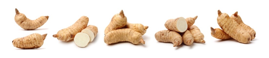 Fresh Gastrodia elata blume on white background