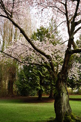 Spring flower collection 2022