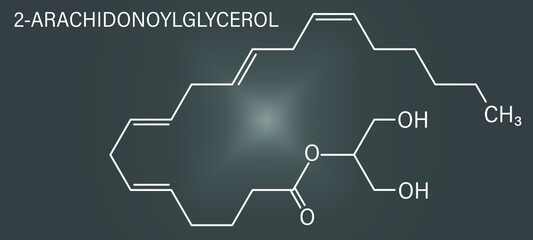 2-Arachidonoylglycerol (2-AG) endocannabinoid neurotransmitter molecule. Skeletal formula.