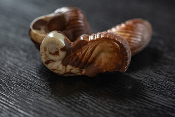 Figures of Belgian chocolate on a dark background.