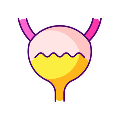 bladder. Color icon for web design