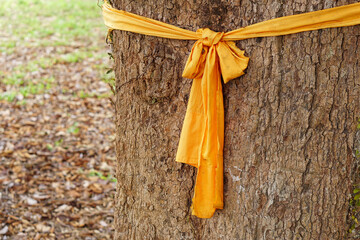 yellow cloth tied to a large tree represents the conservation of nature