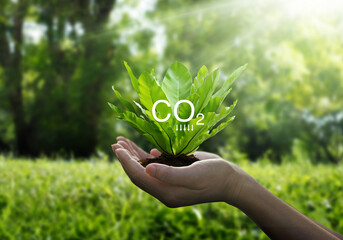 Reduce CO2 emission concept, Sustainable development and green based on renewable can limit climate...