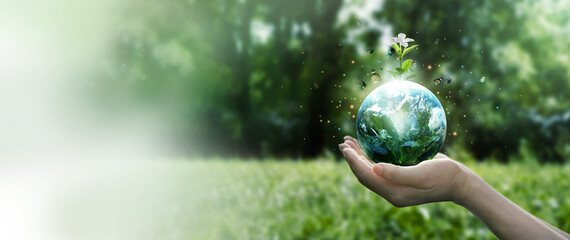Earth Day and Environment concept, Hands protect blue earth and white flower with flying butterfly on green morning background. Save clean planet, Saving environment, Ecology and green nature.