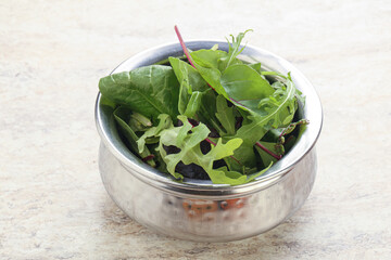 Vegetarian mix green vitamin salad