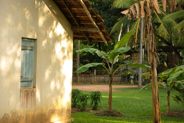 Small village house and garden with banana and coconut trees