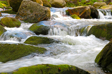 Naklejka na ściany i meble On the stones with green moss flows a cold clean river.