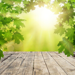 Naklejka na ściany i meble Spring banner or summer background with empty blank wooden board and green leaves