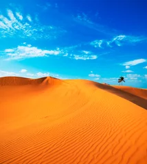Fotobehang Hemelsblauw Woestijnlandschap zandduinen Dubai