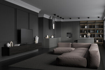 Corner view on dark studio room interior with tv, sofa