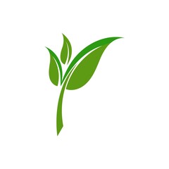 Green leaf logo