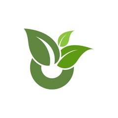 Green leaf logo