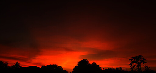 sunset, orange sky bush tree Silhouette black background nature