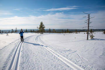 Cross country skiing in Lapland Finland