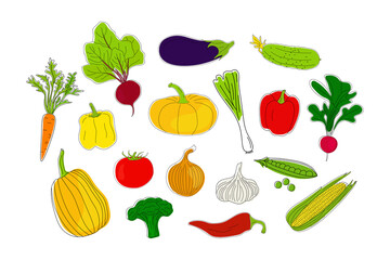 Set of hand drawn vegetables isolated on a white background. Vector illustration.