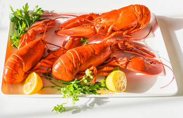 Freshly steamed lobsters with parsley and lemon halves in bright sunlight on a tray on a white table