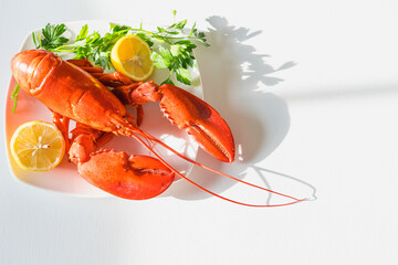 Steamed fresh red lobster on a white plate with parsley and lemon from above.  One the best of seafood. 