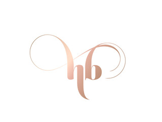 HB monogram logo.Calligraphic signature icon.Lowercase letter b, letter h.Lettering sign isolated on light fund.Wedding, fashion, beauty alphabet initials.Handwritten, decorative style characters.