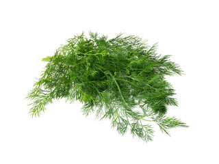 Dill Sprigs Isolated