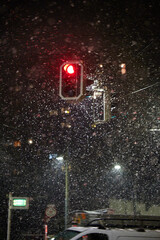 Traffic Light in Snow