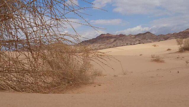Wadi Araba desert, Jordan .