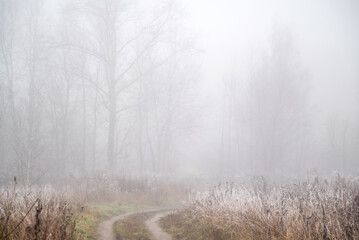 Bend of  dirt road running through field with dry grass white with frost, silhouettes of bare trees  visible on horizon through thick fog, cold autumn morning landscape