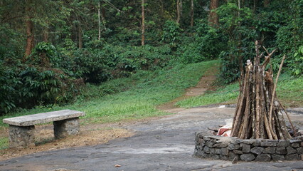 Campfire setup near to the forest