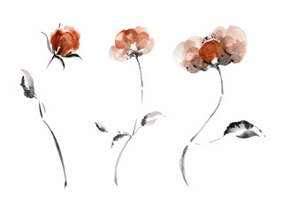 3 brawn flowers isolated on white background. Hand drawn watercolor illustration.