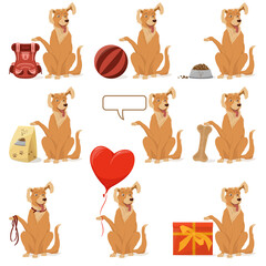 A cheerful cute dog is sitting with a raised paw with various objects. Golden retriever, a pet.  Set of vector illustrations, cartoon, complex flat, isolated on a white background