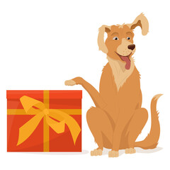 A golden retriever sits with a raised paw and ear. A petwith a big red box with a yellow bow, A gift, a surprise, a joy.  Vector illustration, cartoon, complex flat, isolated on white background