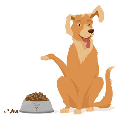 A golden retriever sits with a raised paw and ear. A pet, gray food bowl, dog food, pellets.  Vector illustration, cartoon, complex flat, isolated on white background