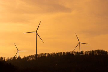 Silhouettes of wind turbines standing in the forest with pale orange sky from sahara dust