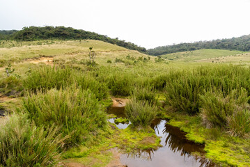 Horton Plains national park, Sri Lanka