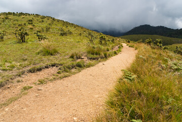 Fototapeta na wymiar Horton Plains national park, Sri Lanka