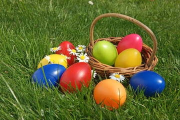 Ostereier auf einer Wiese