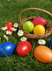 Ostereier auf einer Wiese