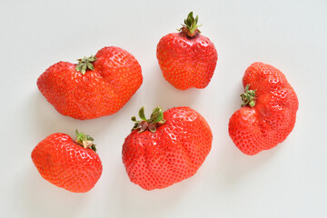 いちご　あまおう