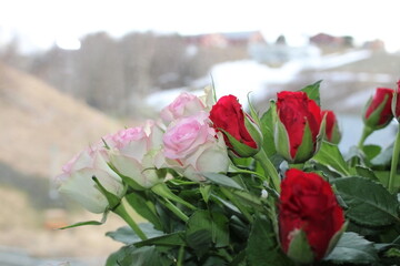 bouquet of red and pink roses