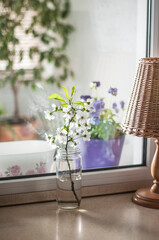A glass jar with water and a bird cherry branch and a lamp with a wicker lampshade on the windowsill with a view of the flowers on the balcony.
