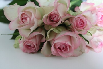 pink roses bouquet