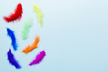 Fototapeta na wymiar background of brightly colored dyed bird feathers on Colored background, top view. Copy space
