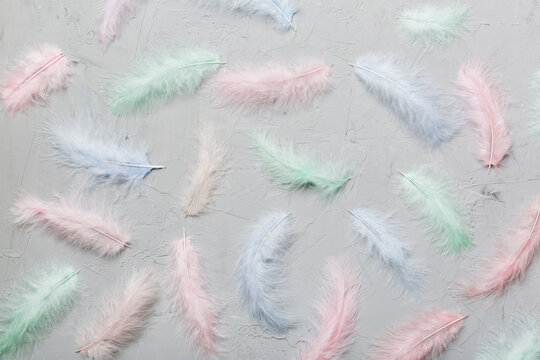 Close up to bright colorful feathers background. Colored feather background, top view © sosiukin