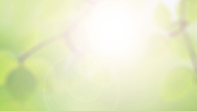 waterdrop in a lake slow motion background