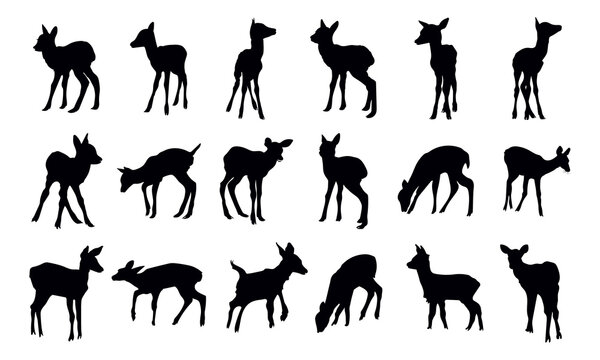 Collection of Graphic black silhouettes of wild deers male, female, and roe deer.