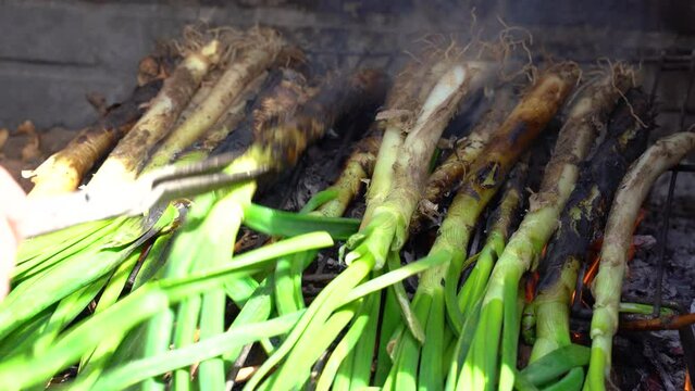 Closeup of a pile of calcots or sweet onions being cooked in the barbecue. Typical of Catalonia, Spain